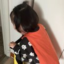 불도유치원 네이버블로그