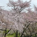 코와숲이비인후과의원 이미지