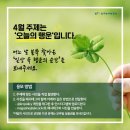 행운 - 기장군 월전1길 35 | 행운