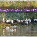 Pluie D'Ete (여름비) - Gheorghe Zamfir(Pan Flute 연주) 이미지