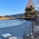 [충주 캠핑장] 제천 포레스트 리솜 근처 충주 캠핑장 이른아침캠핑장 후기