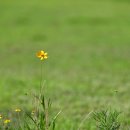 술산초등학교 이미지