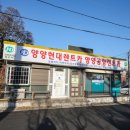 현대관광렌트카 이미지