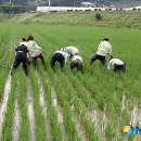삼웅유통 뉴시스