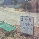 속초맛자랑 이미지
