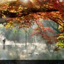 골든힐폼 이미지