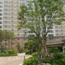 삼성주니어치과의원 이미지