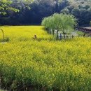 테마공원 이미지