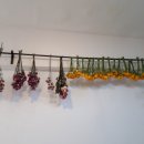 더샤인행정사사무소 이미지