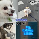 포캣멍 | [봉사] 경기도 안산 유기견 보호소 "포캣멍센터" 봉사 후기