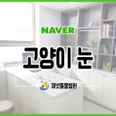 개금동물병원 이미지