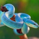 서울좋은치과병원 이미지