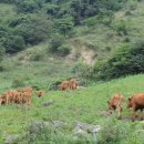 장수유기질 이미지