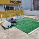 호텔 독스 이미지