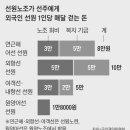 [단독] “외국인 고용하려면 노조비 내라” 선주에 1500억 뜯은 선원 노조 이미지