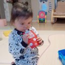 사과즙효능 아이 간식으로 건강한 100%사과즙 선택