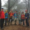 금병산 누리길 이미지