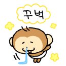 젠치과의원 네이버블로그