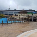 그늘막129 이미지