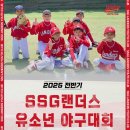 고든스포츠야구광의시 이미지