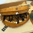 금령로55번길 이미지