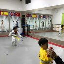 연세키즈태권도 이미지