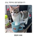 교연 이미지