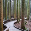 남원파크골프장 이미지