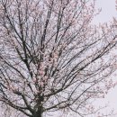 밤적골길 이미지