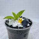 거제치유농업동산 이미지