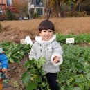 윤재농장 이미지