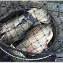 한마음낚시터 이미지