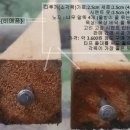 옥상찌개
