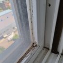 세경크리닝 이미지