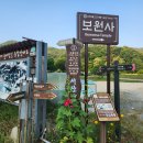 일동 BYC 이미지