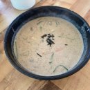 우선 | 강릉 맛집 "감자적 1번지" 캐치테이블 우선입장 후기