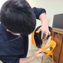 이곳은염색방 이미지