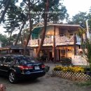 사랑이 머무는 집 2 이미지