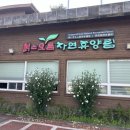 붉은오름자연휴양림2 이미지