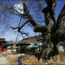 박물관로 이미지