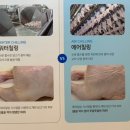 태산ENG | 하림 견학 전북 광주근교 아이와 갈곳 용가리 닭천국이얌!
