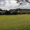 종달로가 이미지