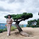 정방사 - 1586 | 정방사