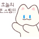 뭉치동물약국 이미지