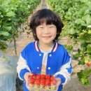 병설농장 이미지