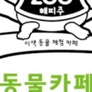 해피멍멍이 이미지