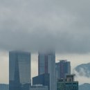 신선빌딩 이미지