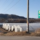 쌍학리 효열각 이미지