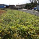 금순농장 이미지