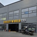 할리월드 333 이미지